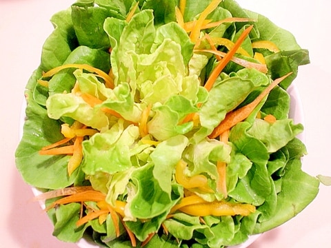 【簡単盛り付け】どんぶりに作る花咲くサラダ